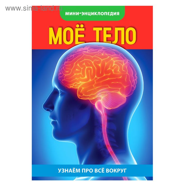 

Мини-энциклопедия «Моё тело», 20 стр.
