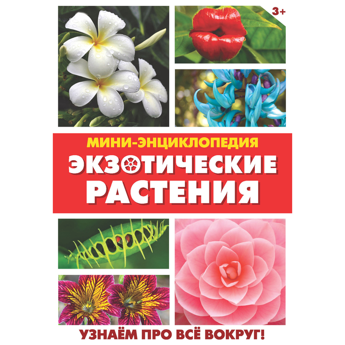 Мини-энциклопедия "Экзотические растения" 20 страниц