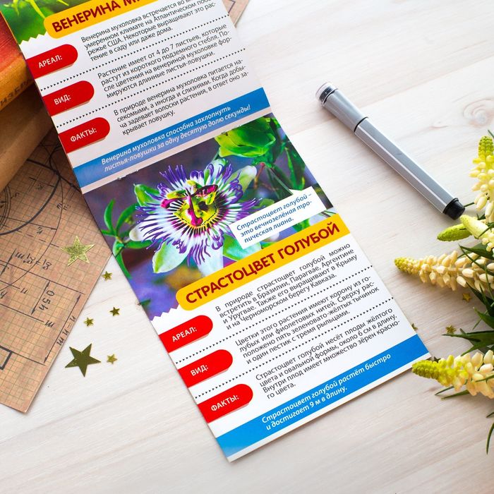 Мини-энциклопедия "Экзотические растения" 20 страниц