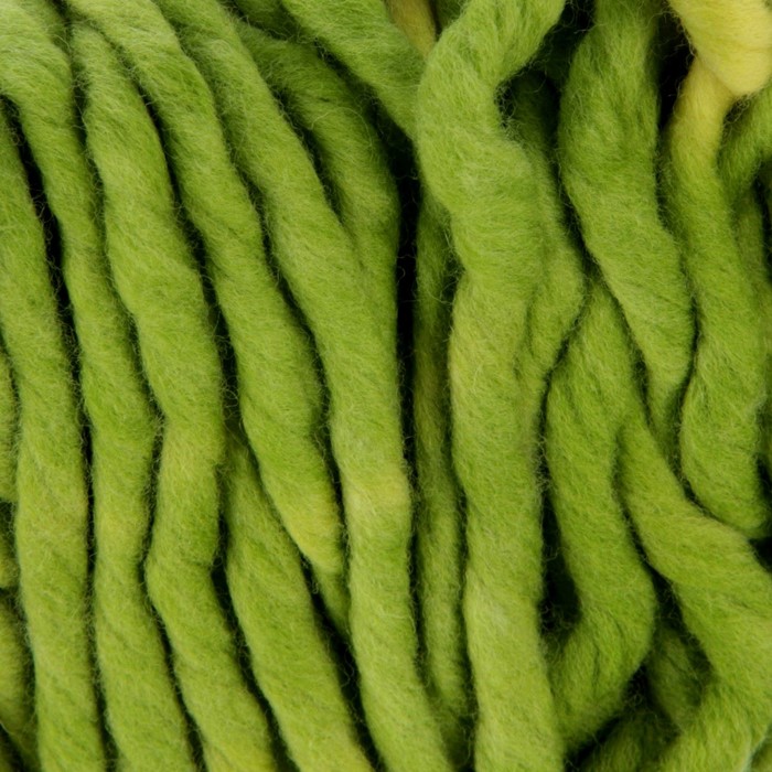 Пряжа "Вирджиния" 100% мериносовая шерсть 85м/150гр (4353, секционный)