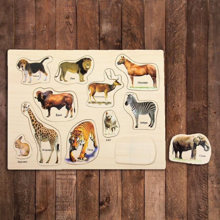 Рамка-вкладыш "Мир животных"