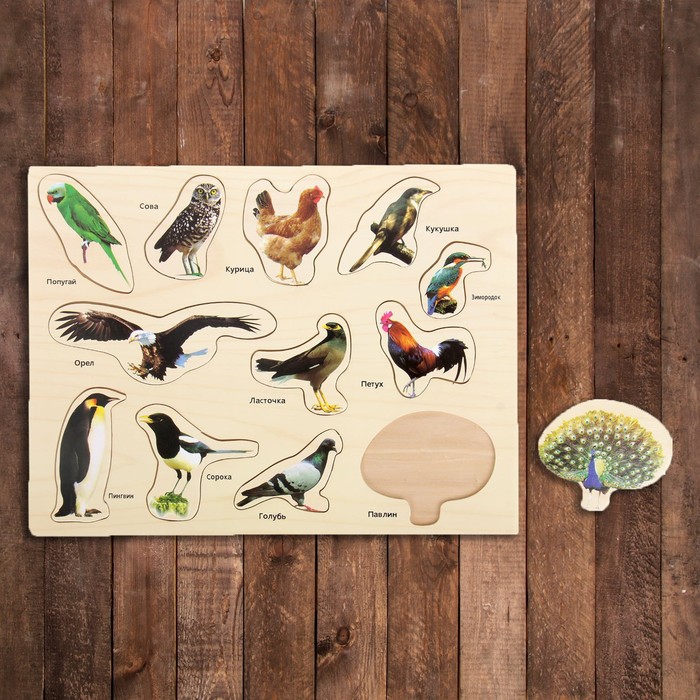 Рамка-вкладыш "Мир птиц"