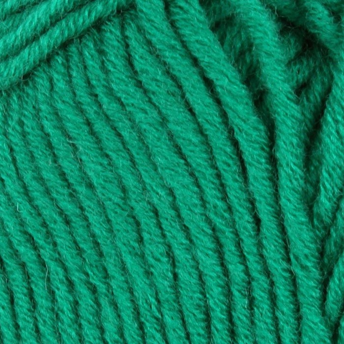 Пряжа "Зимняя премьера" 50%меринос.шерсть, 50% акрил объёмный 150м/100гр (742-Бильярд)