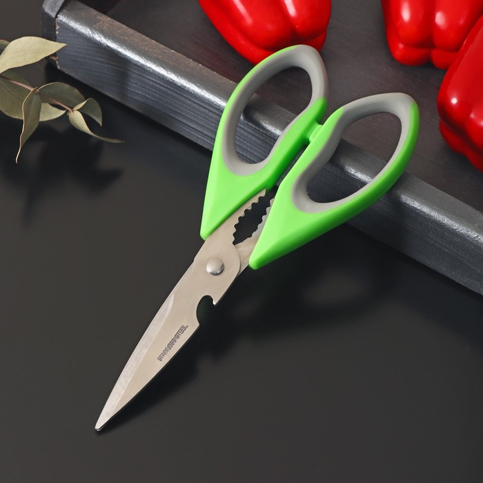 Ножницы кухонные Доляна «Гари», 22 см, цвет зелёный
