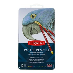 

Пастель сухая художественная в карандаше, набор Derwent Pastel Hard 12 цветов, в металлической упаковке