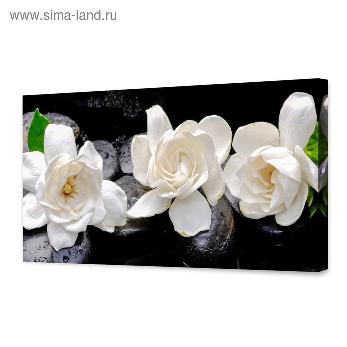 Картина на холсте Белые цветы 50х100 см