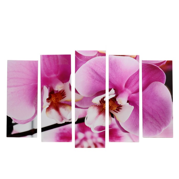 Модульная картина на подрамнике "Фаленопсис", 2 шт. — 21×54, 2 шт. — 21×61, 1 шт. — 21×68 см