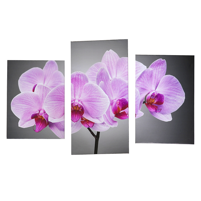 Модульная картина на подрамнике "Нежная орхидея", 33×25, 33×50, 33×65 см, 99×65 см