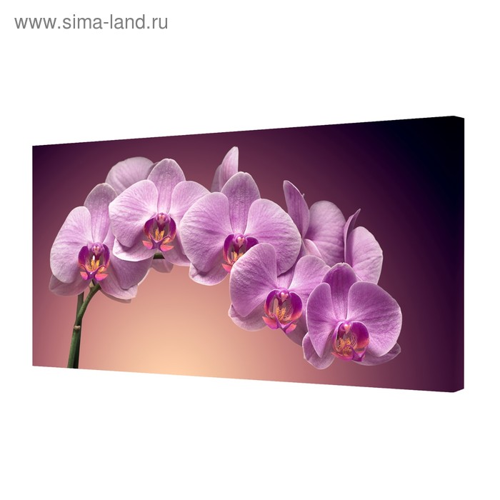 Картина на холсте Ветка орхидеи 50*100 см