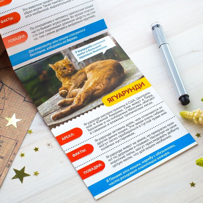 Мини-энциклопедия "Кошки дикие" 20 страниц