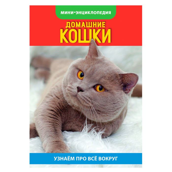 Мини-энциклопедия "Кошки домашние" 20 страниц