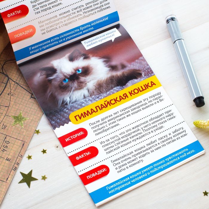Мини-энциклопедия "Кошки домашние" 20 страниц