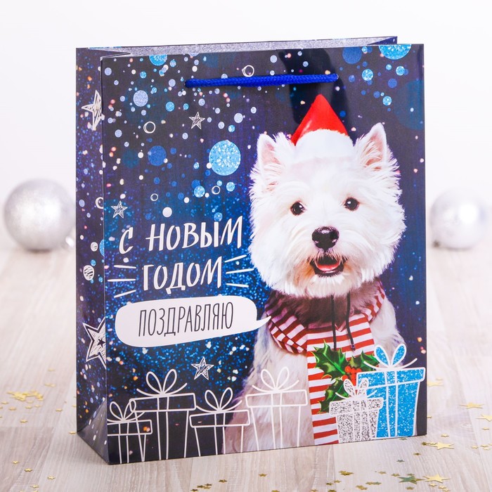 Пакет ламинированный вертикальный «Новогоднее поздравление», 18 × 23 × 8 см