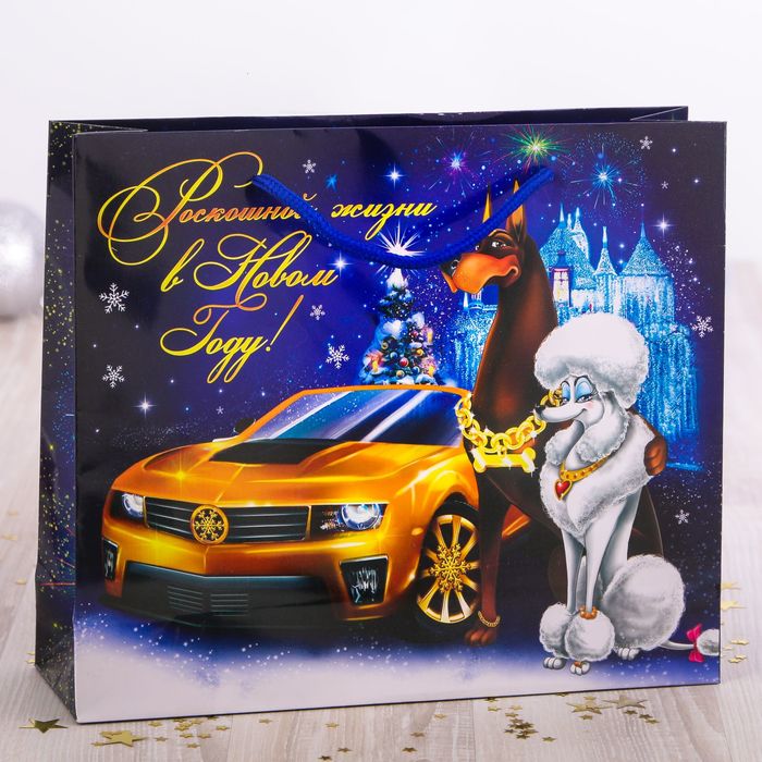 Пакет ламинированный горизонтальный «Роскошной жизни!», 27 × 23 × 8 см