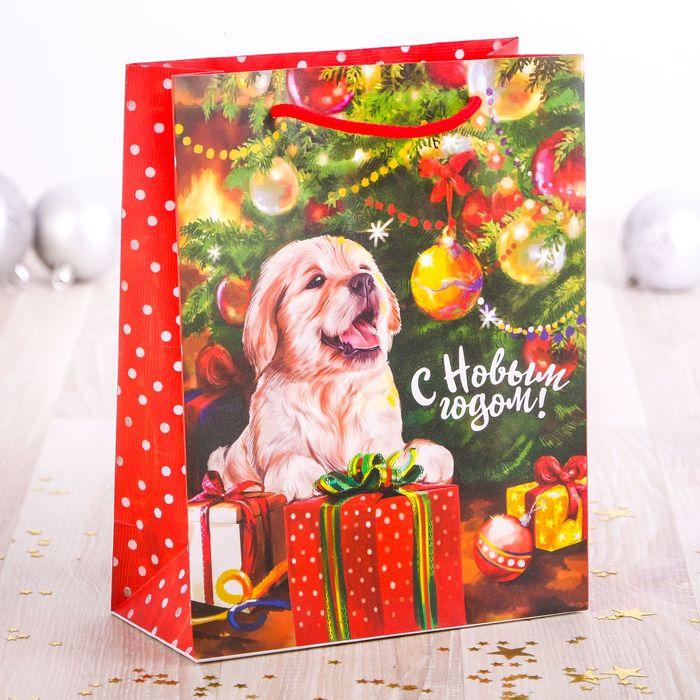 Пакет ламинированный вертикальный «В ожидании чуда», 18 × 23 × 8 см