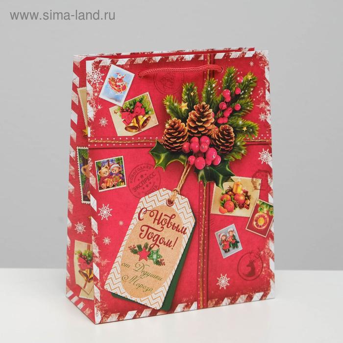Пакет ламинированный вертикальный «Подарок от Деда Мороза», MS 18 × 23 × 11,5 см пакет ламинированный вертикальный подарок от деда мороза ms 18 × 23 × 10 см