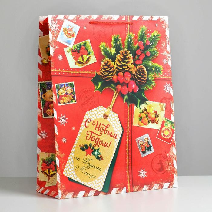 Пакет ламинированный вертикальный «Подарок от Деда Мороза», 31 × 40 × 11,5 см пакет ламинированный вертикальный подарок от деда мороза ms 18 × 23 × 10 см