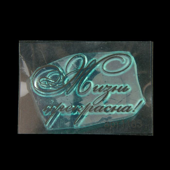 Штамп "Жизнь прекрасна!" 4,5х2,9 см (STAMP1183)