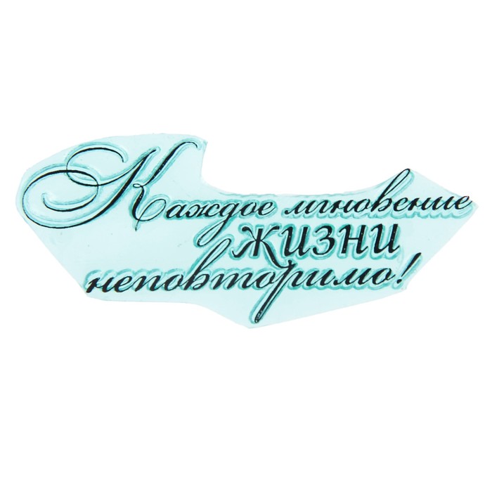 Штамп "Каждое мгновение жизни неповторимо!" 7,2х2,9 см (STAMP1182)