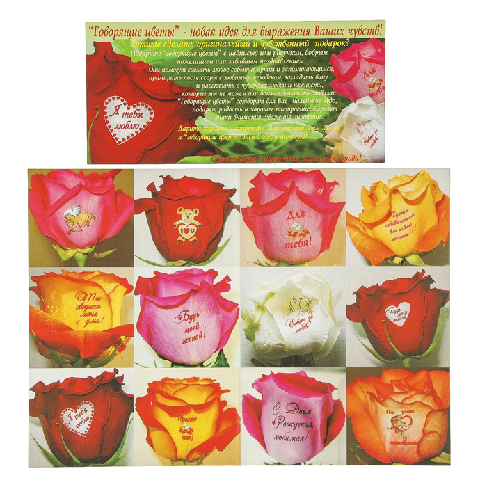 Наклейки на цветы "Моему котенку" алый, синий, 25 наклеек на листе А6 (Т33/1)