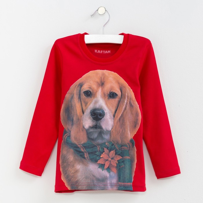 Джемпер детский KAFTAN "Бигль", рост 110-116 см (32), 5-6 лет