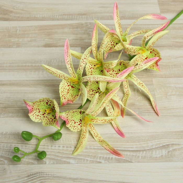 Цветы искусственные "Орхидея Цимбидиум ланцетолистный" 90 см, бело-зелёная