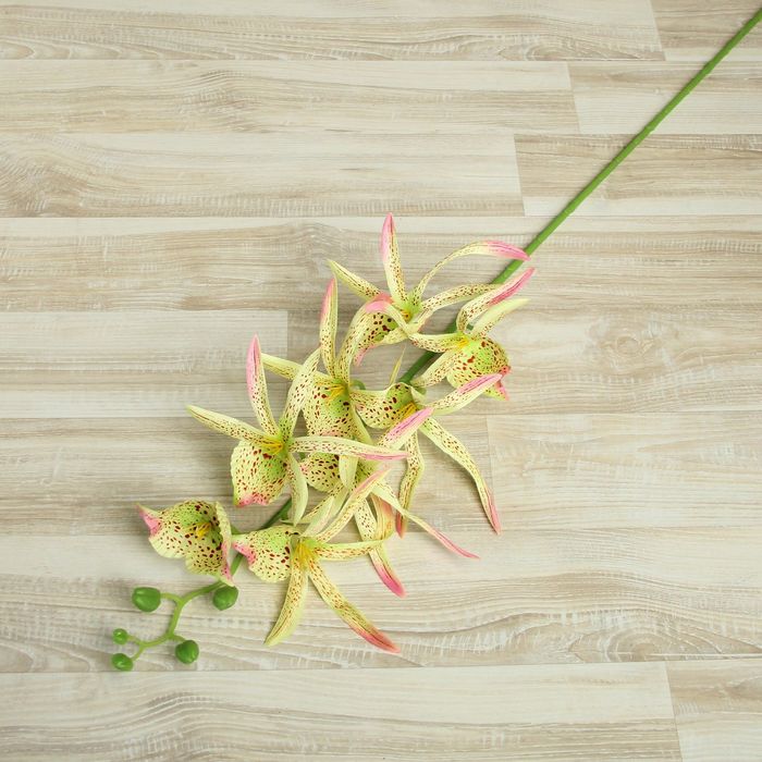 Цветы искусственные "Орхидея Цимбидиум ланцетолистный" 90 см, бело-зелёная