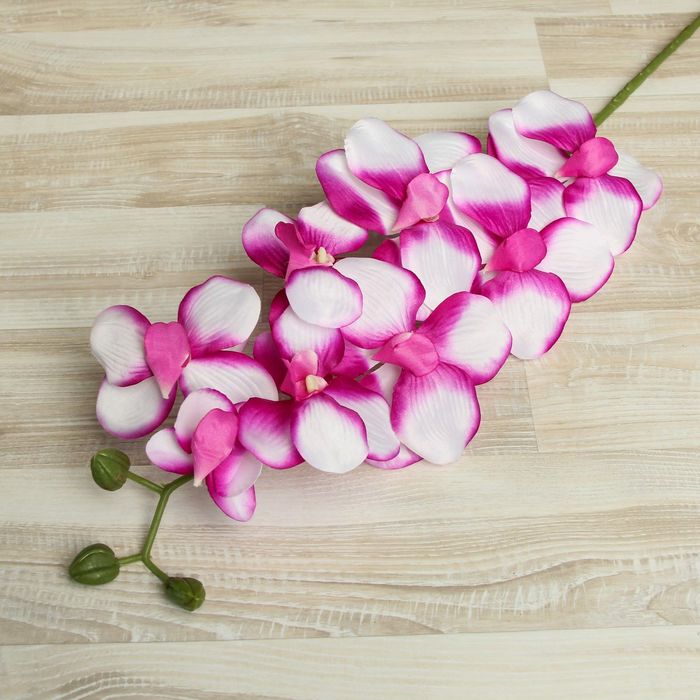 Цветы искусственные "Орхидея Сандера" 90 см, бело-сиреневая