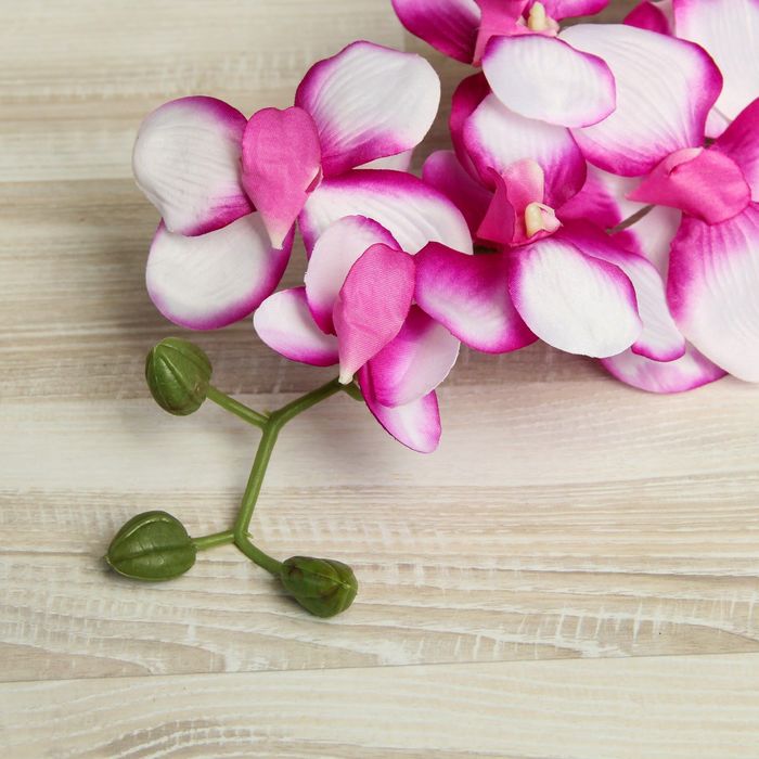 Цветы искусственные "Орхидея Сандера" 90 см, бело-сиреневая