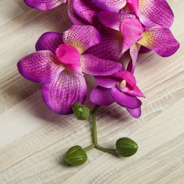 Цветы искусственные "Орхидея Сандера" 90 см, сиреневая