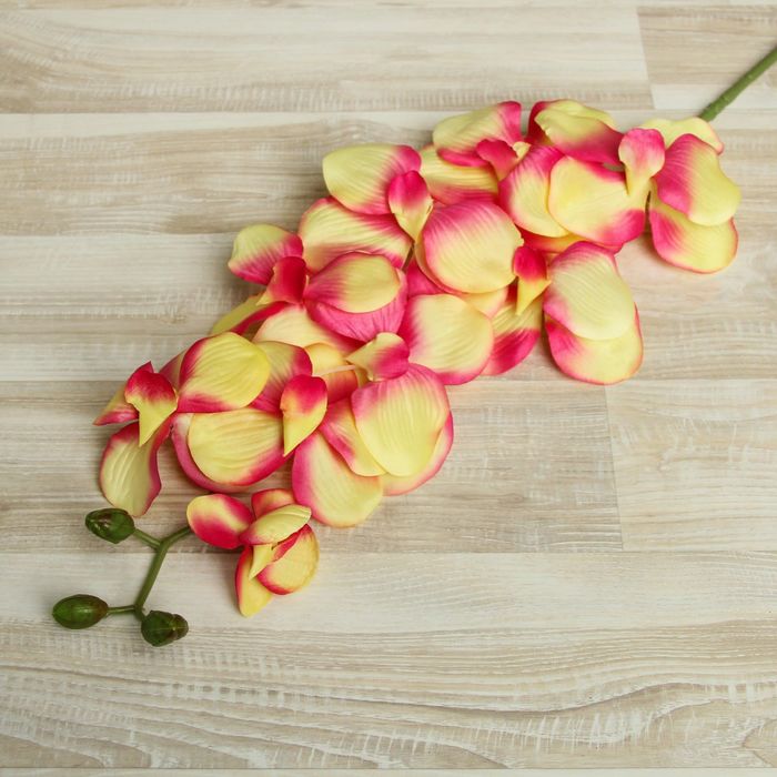 Цветы искусственные "Орхидея Сандера" 90 см, жёлто-розовая