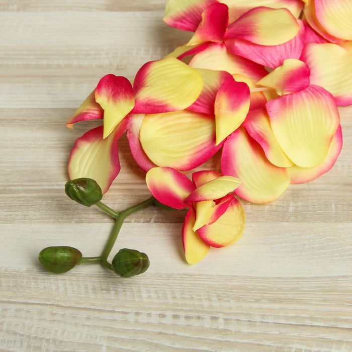 Цветы искусственные "Орхидея Сандера" 90 см, жёлто-розовая