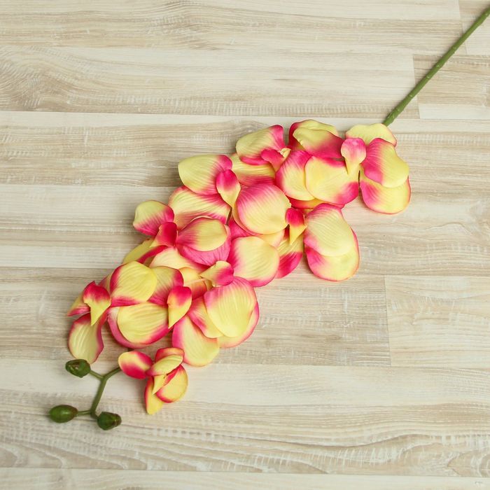 Цветы искусственные "Орхидея Сандера" 90 см, жёлто-розовая