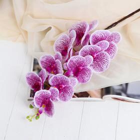 Цветы искусственные "Орхидея Тигровая" 90 см, бело-сиреневая
