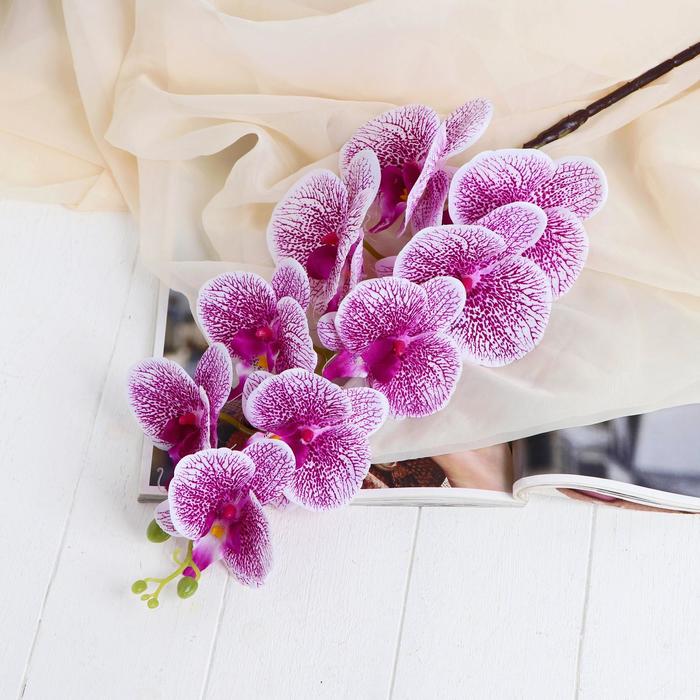 Цветы искусственные Орхидея Тигровая 90 см, бело-сиреневый