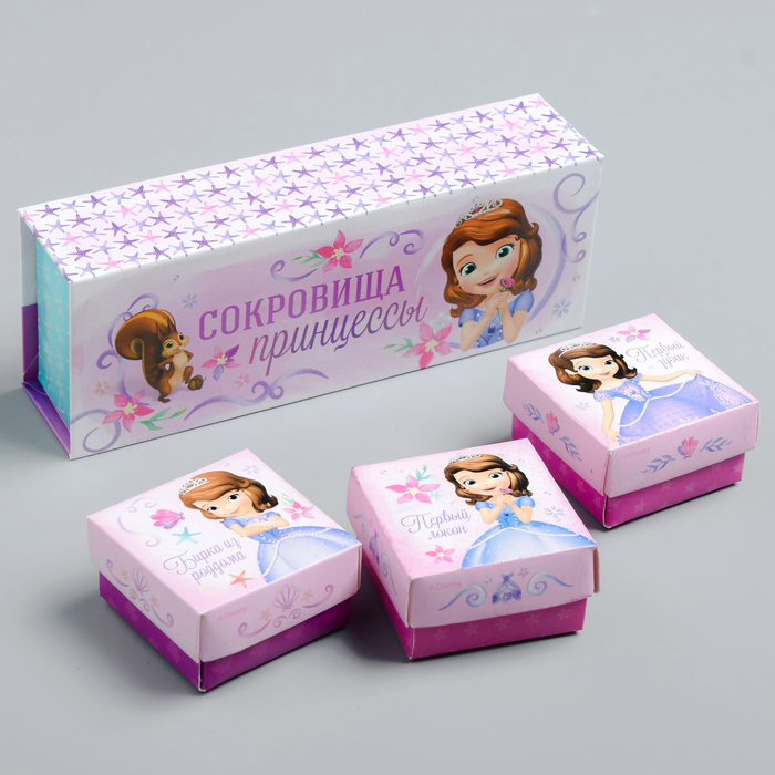 Набор памятных коробочек в пенале "Сокровища принцессы", София Прекрасная