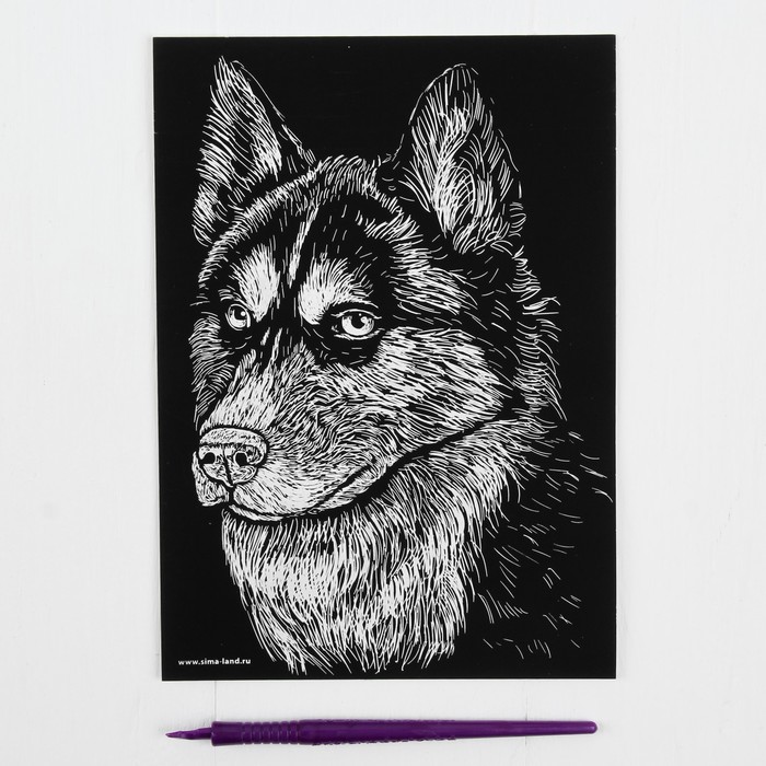 Гравюра "Хаски" с металлическим эффектом - серебро + штихель