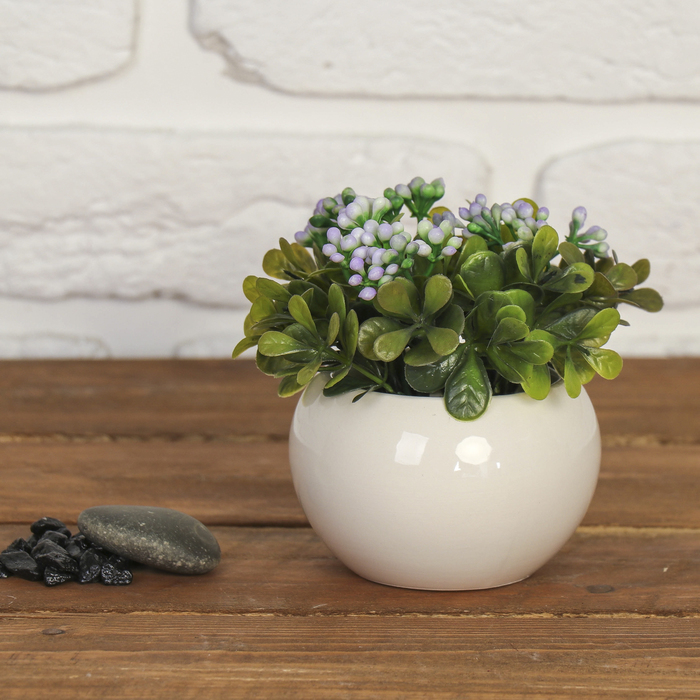 Бонсай 10*9 см ягодки микс