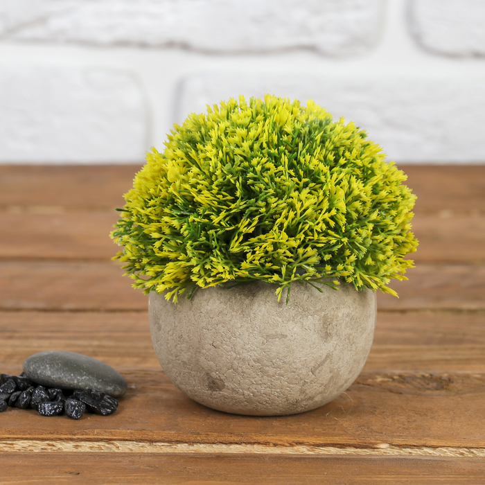 Бонсай 10*10 см резные листочки микс