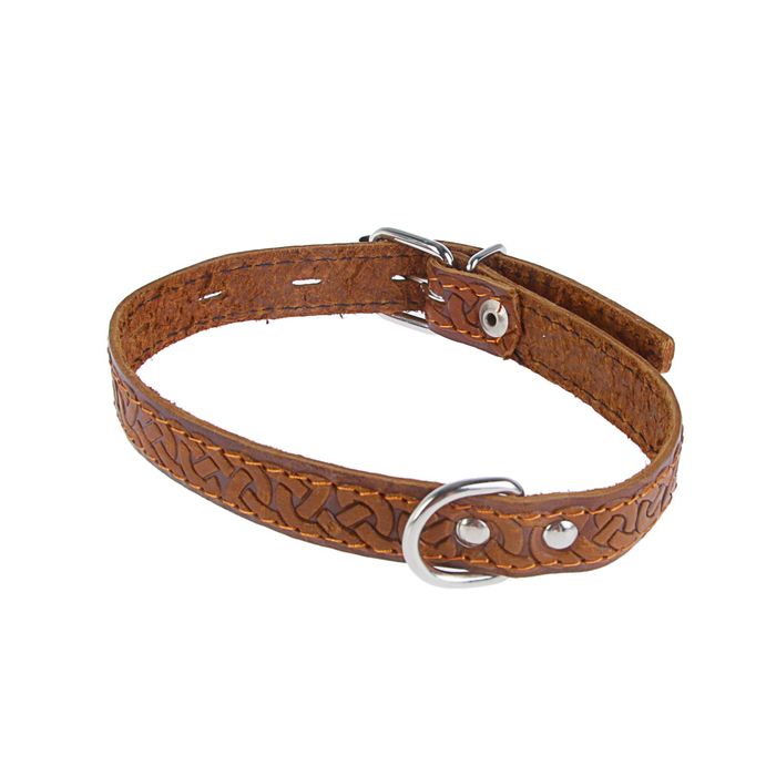 Ошейник кожаный однослойный с тиснением "Кельтик", 48 х 2 см, коричневый