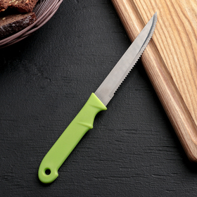 Нож кухонный «Акли», зубчатое лезвие 10,5 см, цвет МИКС Ош