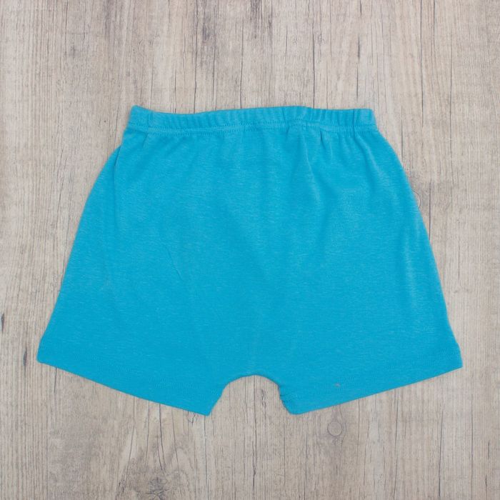 Трусы- боксеры для мальчика, рост 134 см, цвет бирюзовый