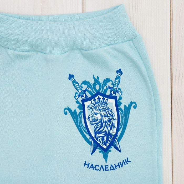 Штанишки "Наследник", рост 68-74 см, 6-9 мес (24 р-р), интерлок