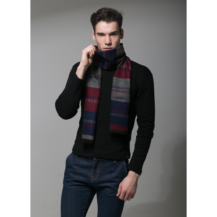 Шарф мужской «Этель. Барни», 30 × 170 см, 80 % х/б, 20 % акрил