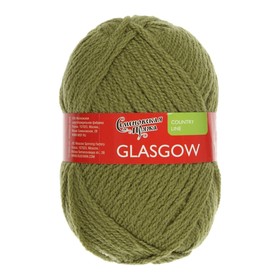 

Пряжа Glasgow (Глазго) 50% шерсть англ кроссбред, 50% акрил 95м/100гр (10 фисташк)