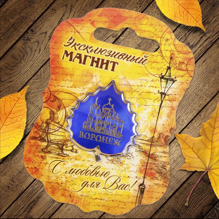 Магнит «Воронеж»