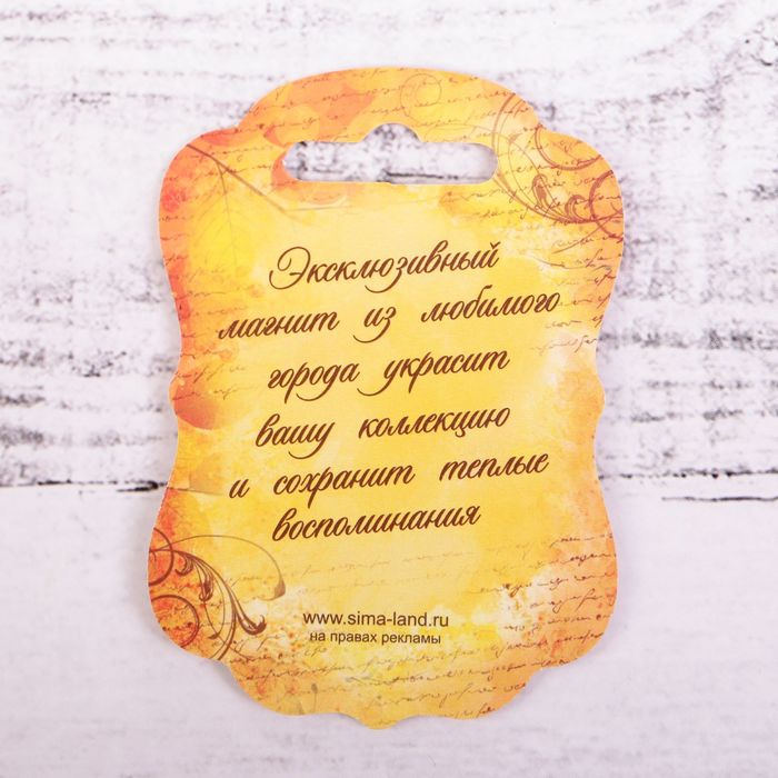 Магнит «Воронеж»