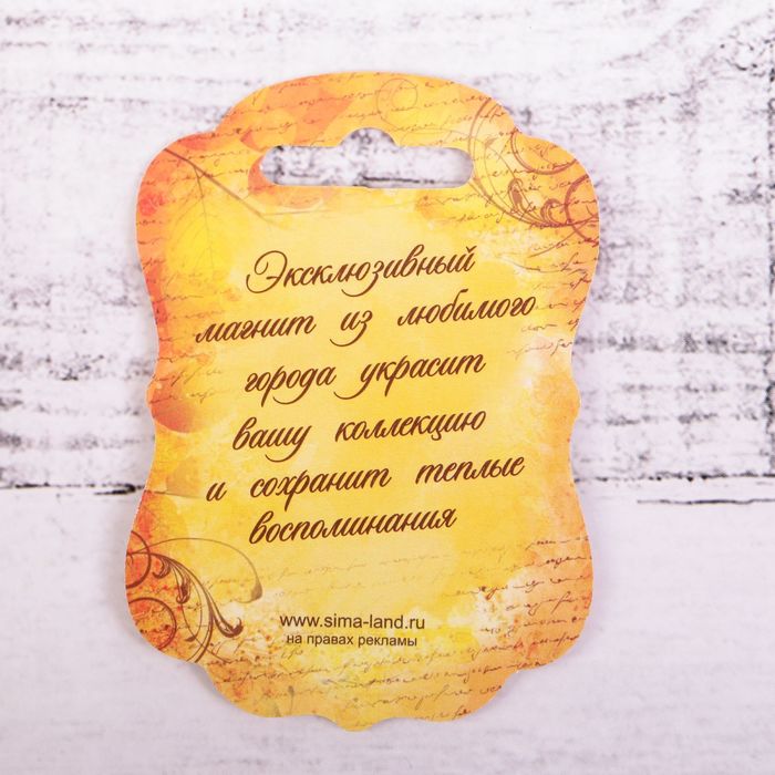 Магнит «Саранск»