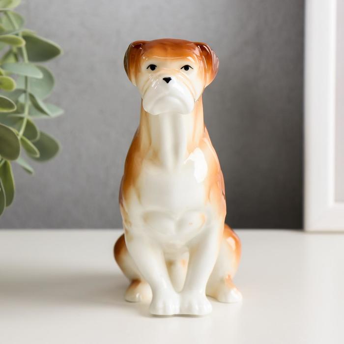 Сувенир керамика "Боксер" цветной 13х10х6 см