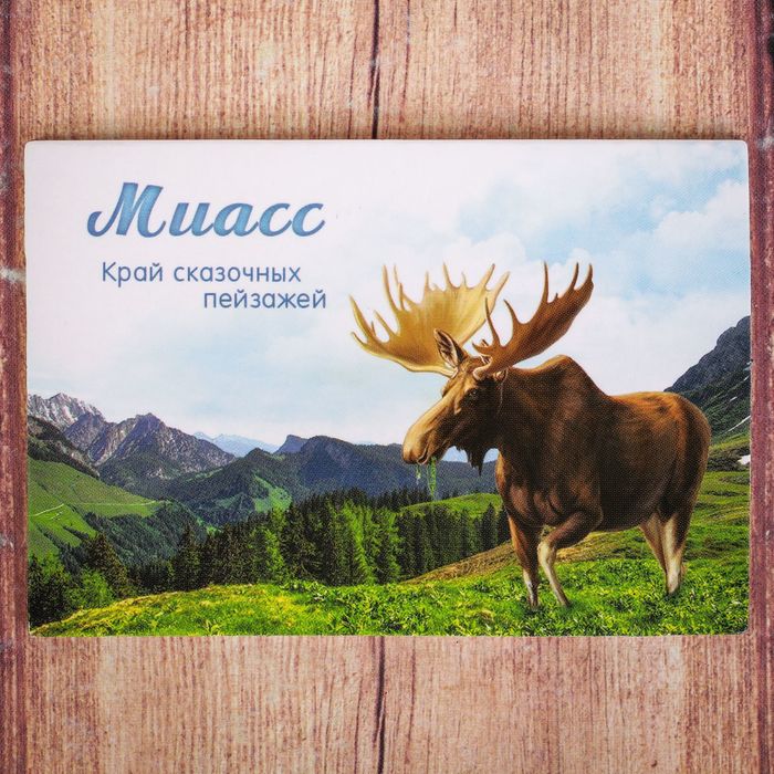 Магнит двусторонний «Миасс»